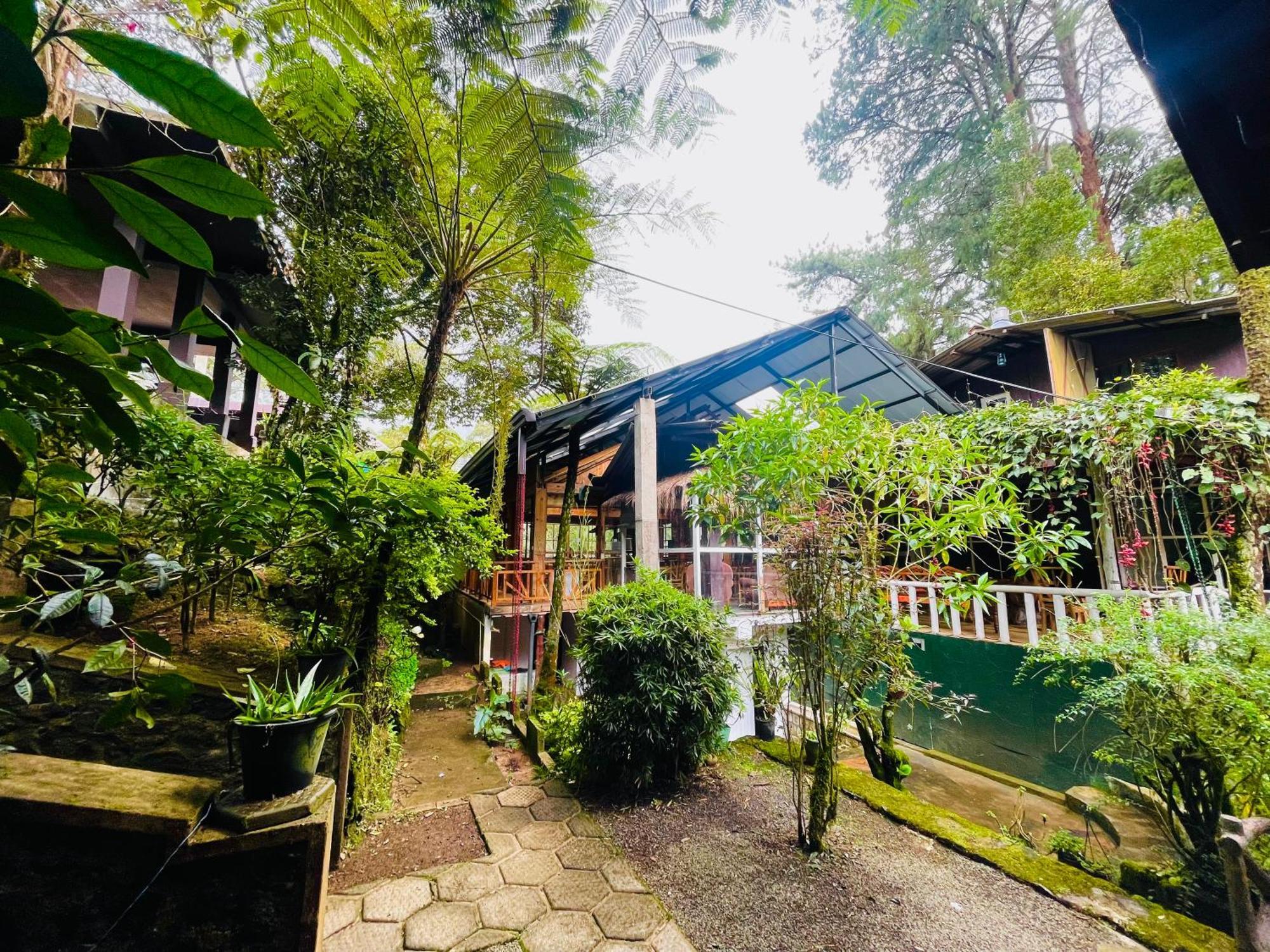 King Fern Cottage Nuwara Eliya Exterior foto