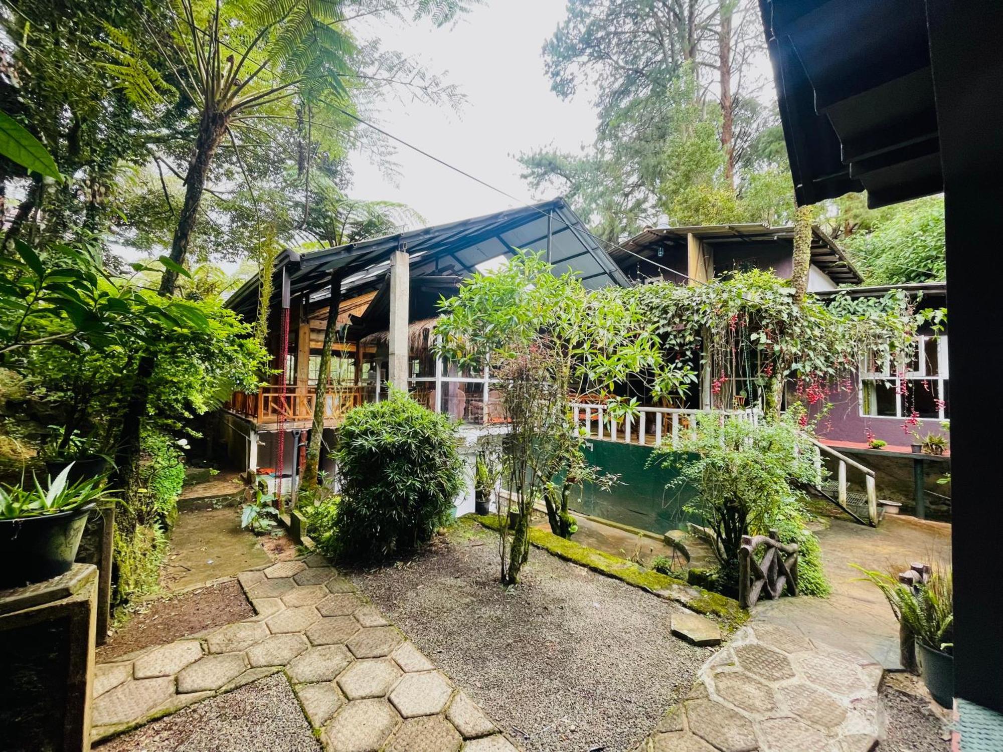 King Fern Cottage Nuwara Eliya Exterior foto