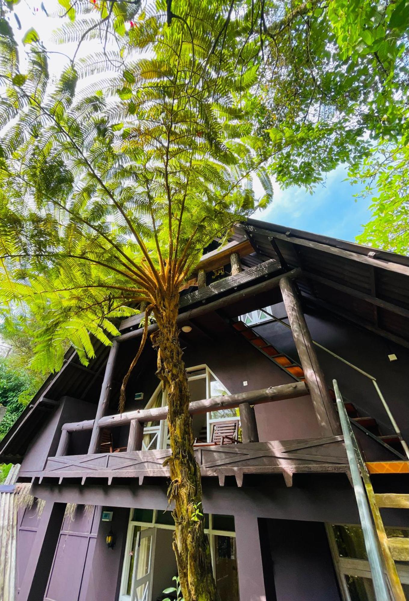 King Fern Cottage Nuwara Eliya Exterior foto