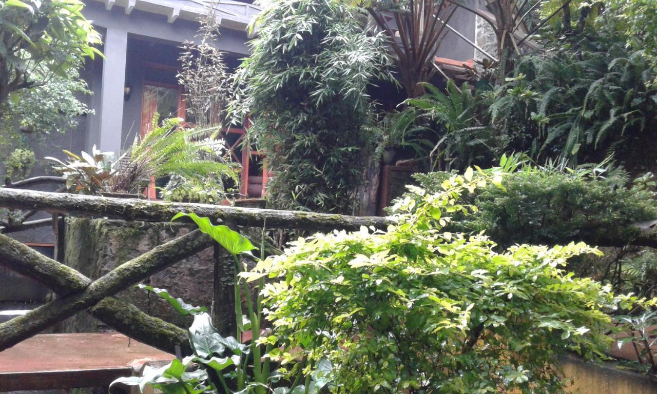 King Fern Cottage Nuwara Eliya Exterior foto