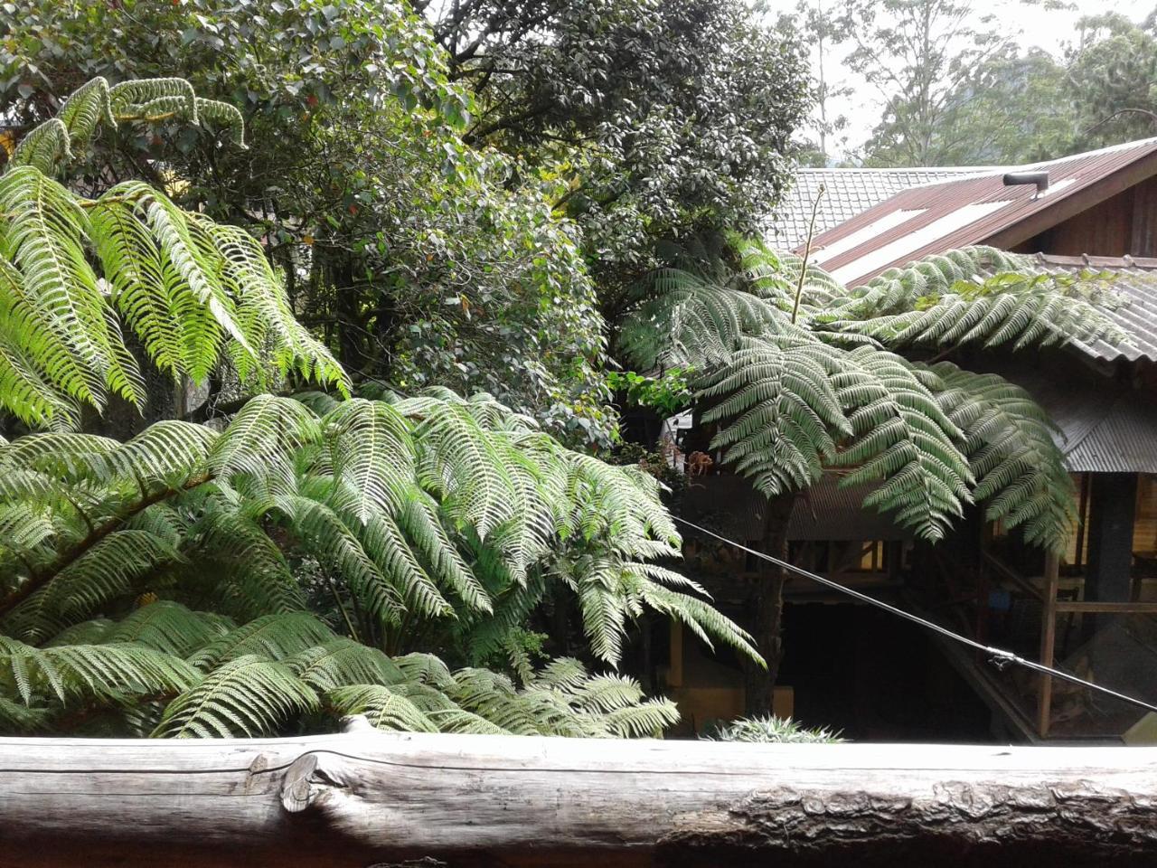 King Fern Cottage Nuwara Eliya Exterior foto